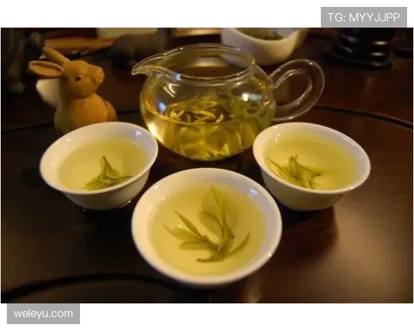 杨千霖早晨发图，那水杯都比我房租贵